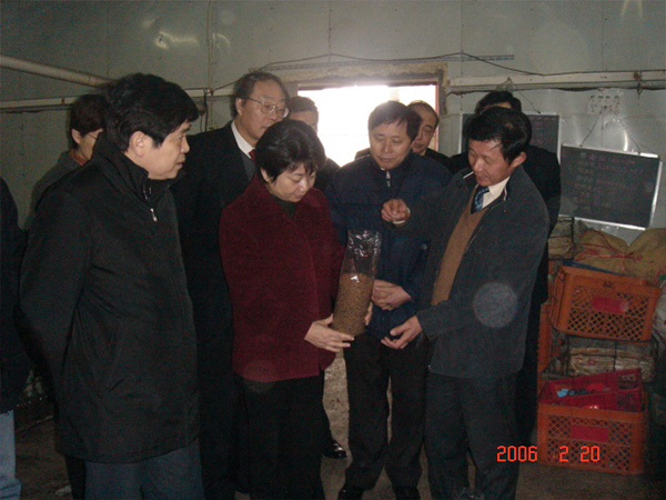 2006年(nián)江蘇省原副省長(cháng)黃莉新現場考察指導